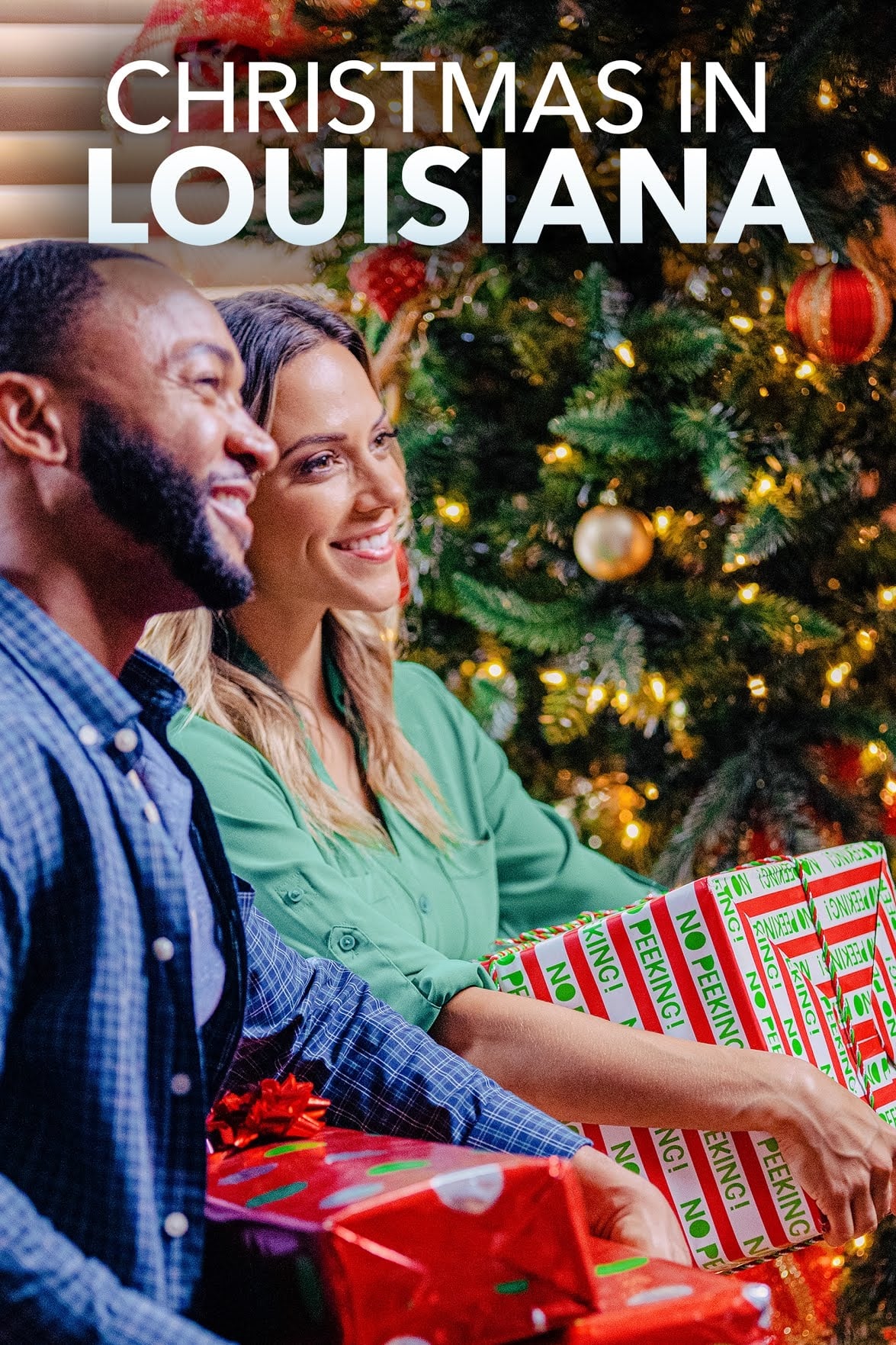 Постер Christmas in Louisiana
